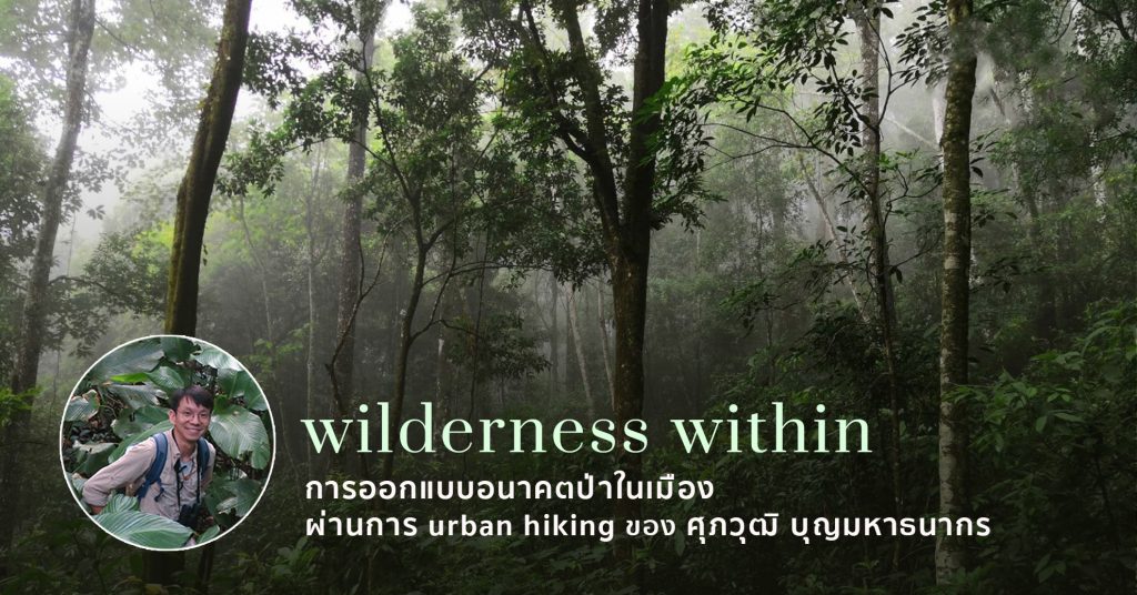 Wilderness within การออกแบบอนาคตป่าในเมืองผ่านการ urban hiking ของ ศุภวุฒิ บุญมหาธนากร